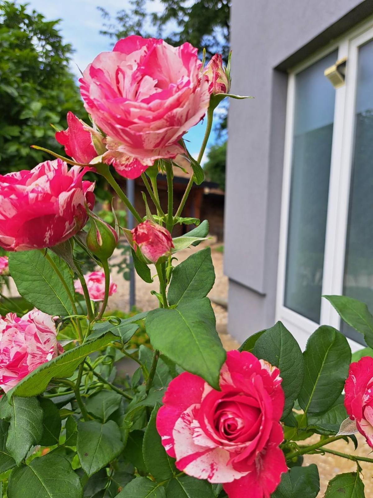 Apartmani Habibi Jalzabet Exteriér fotografie