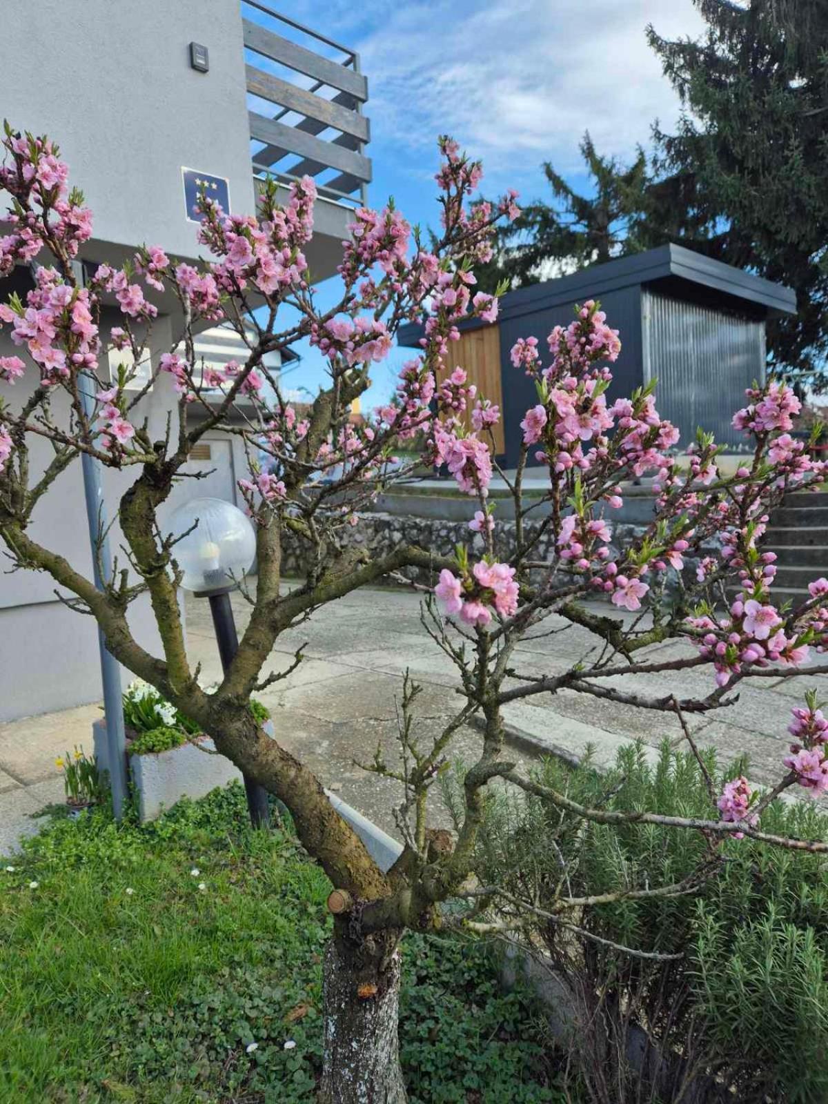 Apartmani Habibi Jalzabet Exteriér fotografie